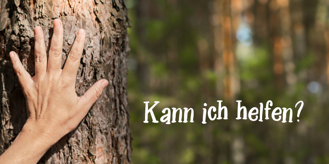 Pflanzaktion „MeinBaumMeinWald“