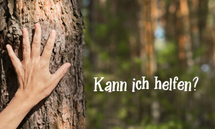 Pflanzaktion „MeinBaumMeinWald“