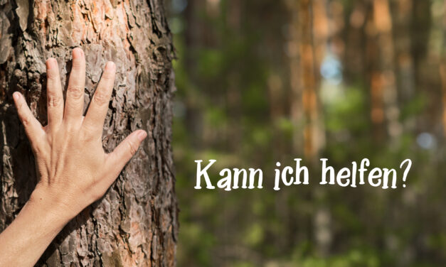 Pflanzaktion „MeinBaumMeinWald“