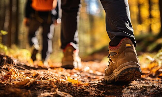 Sankt Andreasberger Wanderwoche