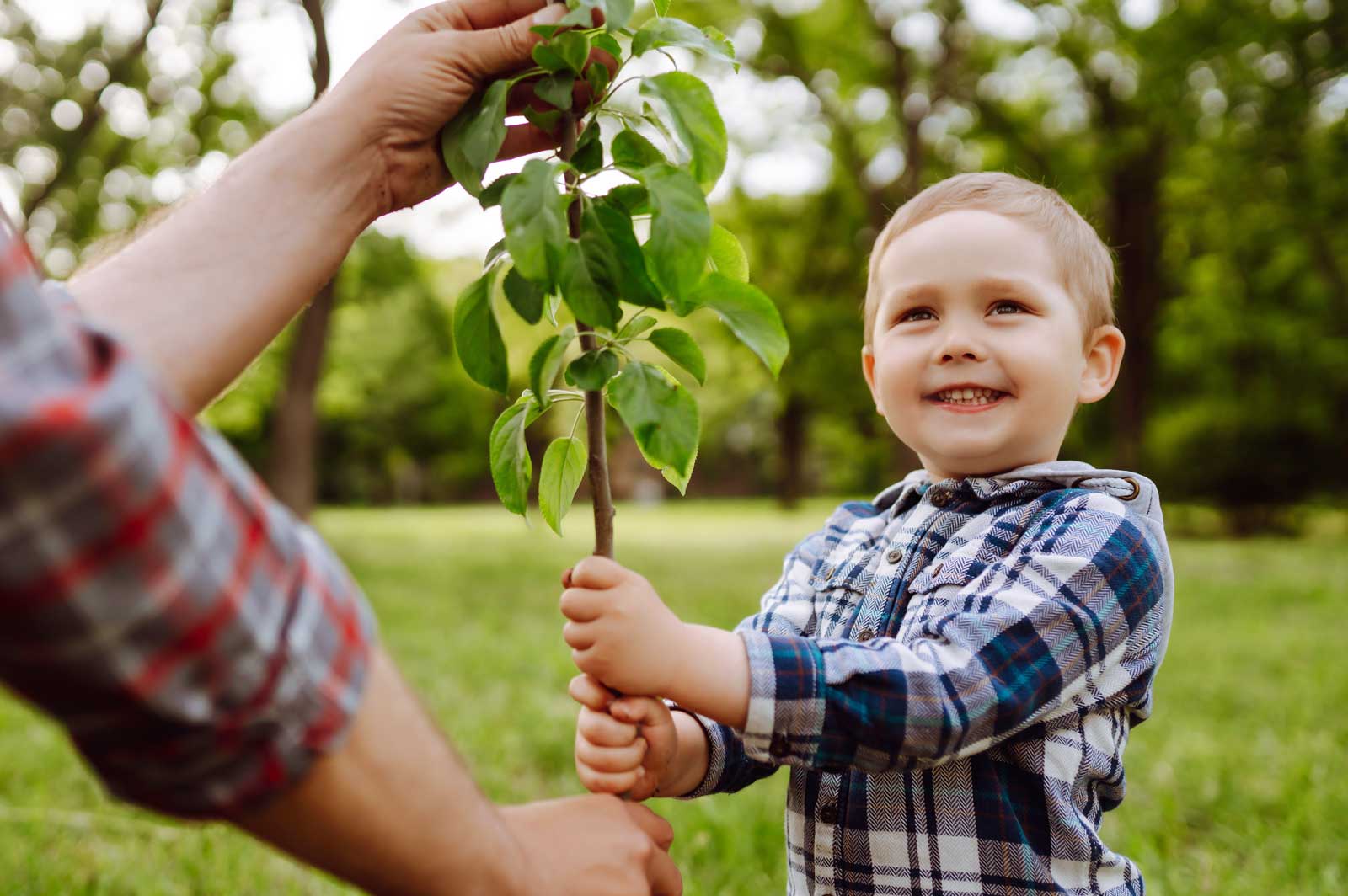Übergabe eines Obstbaums an ein St. Andreasberger Neuzugang