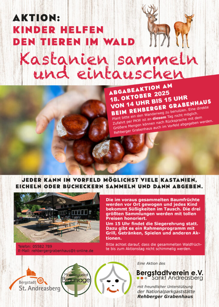 Poster der Kastanien-Sammel-Aktion 2025
