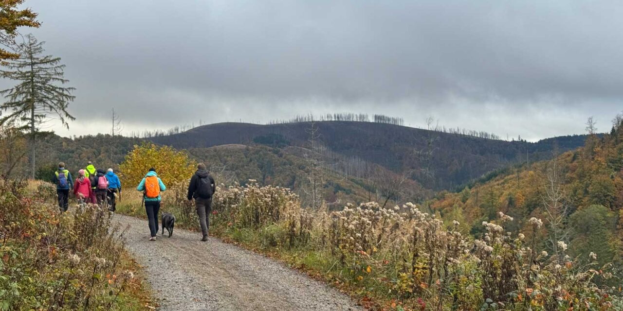 Sankt Andreasberger Wanderwoche
